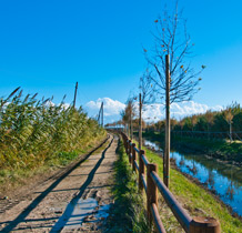 FENIX, San Benedetto Del Tronto